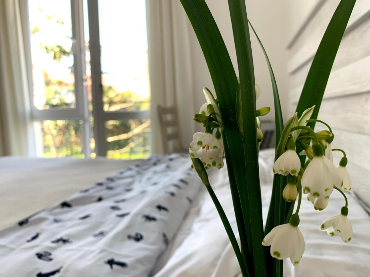 מחינג'אורי Guest House Junona מראה חיצוני תמונה