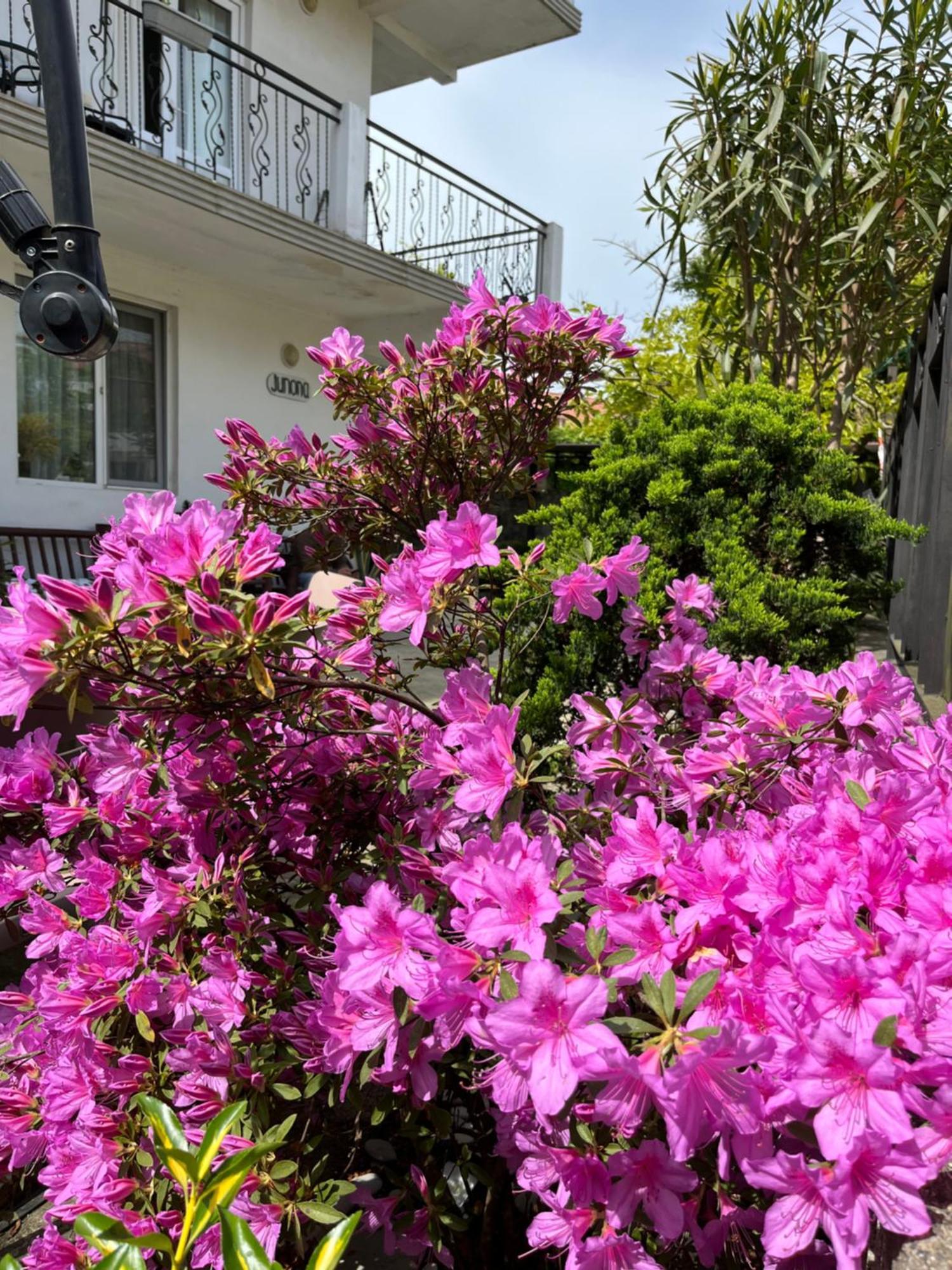 מחינג'אורי Guest House Junona מראה חיצוני תמונה